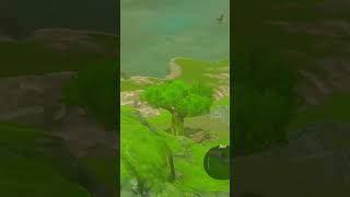 Horse Drops Da Beat #guru #breathofthewildclip #breathofthewildgameplay #glitch #horse