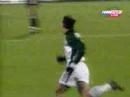 Football Slovenia - Ukraine goal  Mile Acimovic
