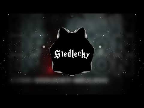KVSIC, Siedlecky, Melejend - DRAGON