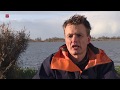 Test met halsbanden bij heckrunderen geslaagd
