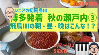 初飛鳥Ⅲ③飛鳥Ⅲの朝・昼・晩　シニアの旅行けば＃73