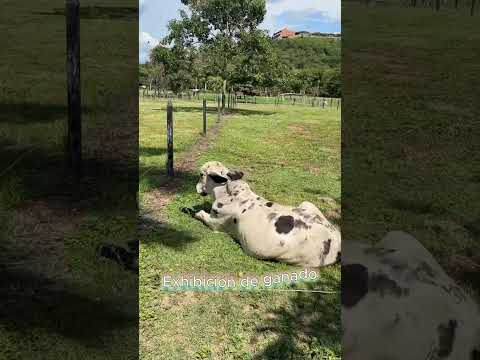 La unión - valle del Cauca