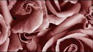 💝When A Man Loves A Woman - Wes Montgomery💝