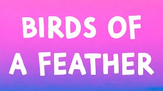 Download lagu Billie Eilish - BIRDS OF A FEATHER (Lyrics) mp3 Download lagu Billie Eilish - BIRDS OF A FEATHER (Lyrics) mp3