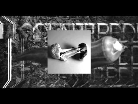 MassMan official MV "Centipede" teaser