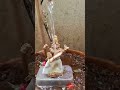Nataraja Abisakam