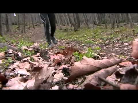 DUE MONTI 2014 Trailer