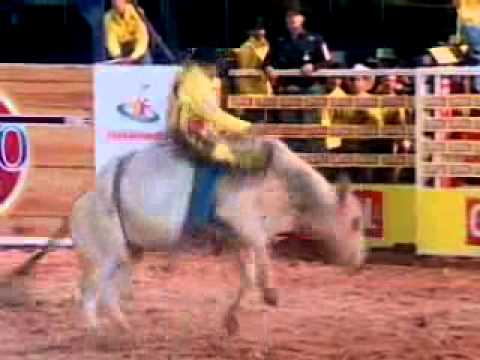 João Ricardo Vieira x Revanche [Cia Tholinha]