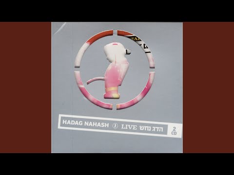 Hakaffa hametzaltzelet (The Nosie Slap)