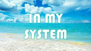 CJ Flemings - In my system