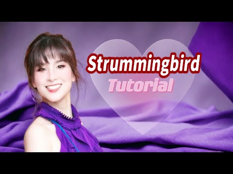 Strummingbird Line Dance (Count) - Absolute Beginner Level Line Dance
