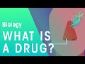 What Is A Drug Health Biology FuseSchool