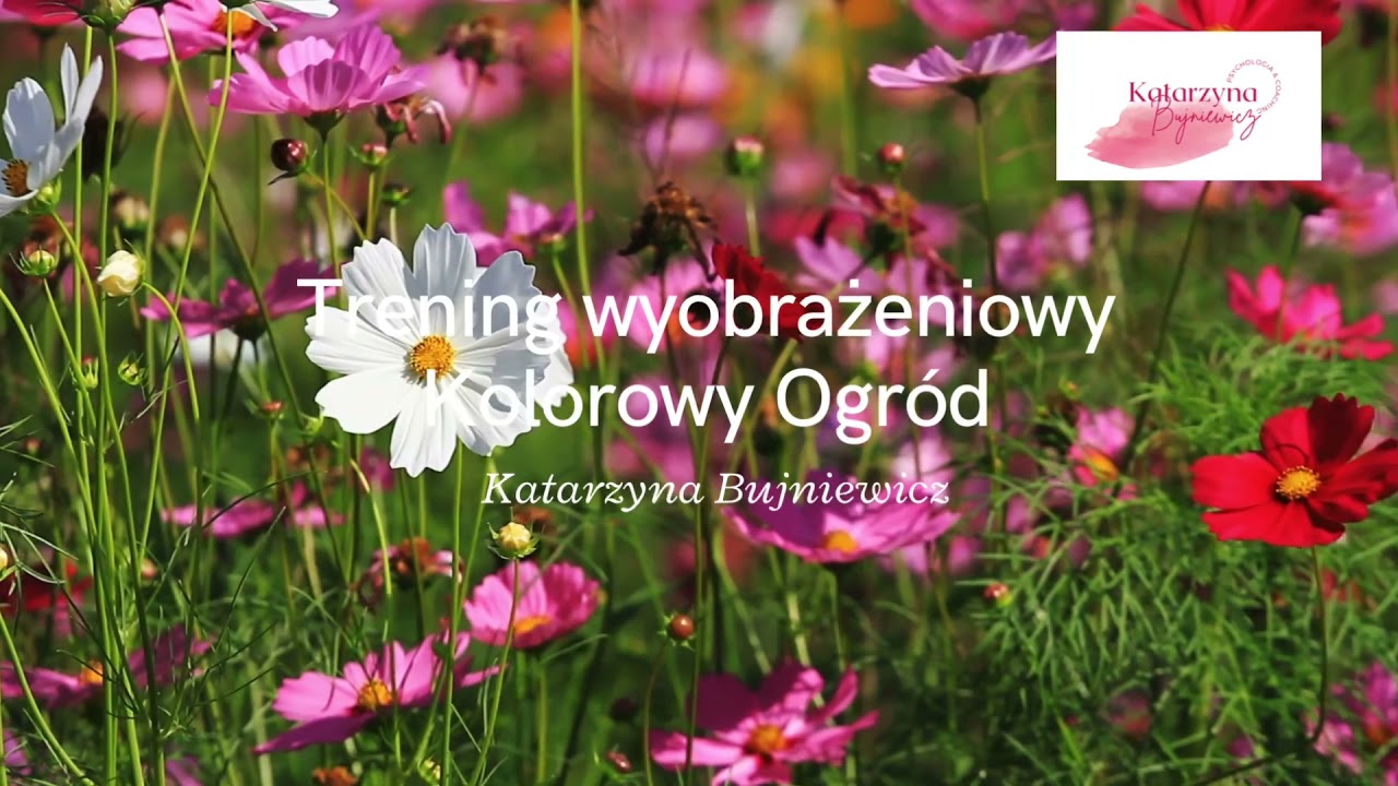 Katarzyna Zamojska-5