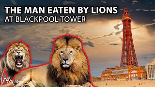 The Man Eaten By The Blackpool Tower Lions!