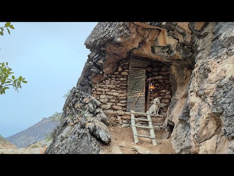 7 Days Alone: Building a Secret Cave Shelter with My Dog 🐺🔥