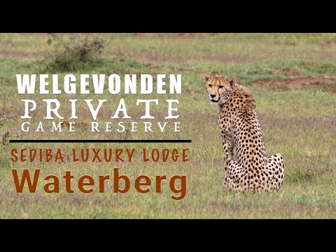 This is NOT the Kruger National Park - it's 'A Long Weekend in the Welgevonden Game Reserve'