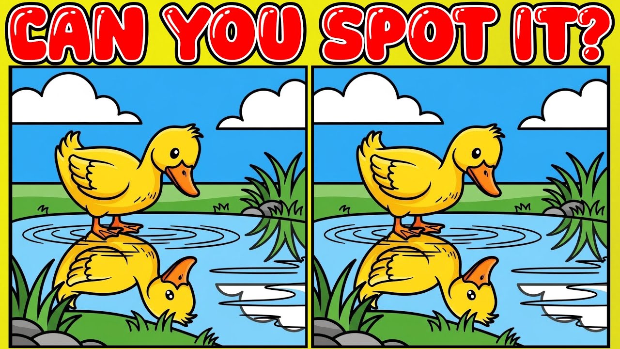 【Spot & Find The Difference】🌸Fun Activity for Improved Concentration and Memory!