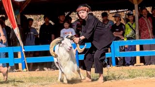 Download lagu KONTES SKDG CITAMAN NAGREG || Geboy Mujair, Berdendang, Pantun Janda💃🏻 mp3 Download lagu KONTES SKDG CITAMAN NAGREG || Geboy Mujair, Berdendang, Pantun Janda💃🏻 mp3