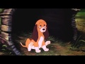 The Fox And The Hound Tod Meets Copper HD
