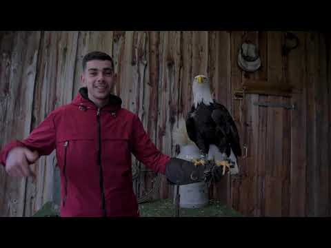 IzzyBenzo - PVDD (Prod. Bunty)