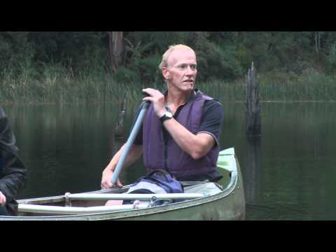 Otway Eco Tours