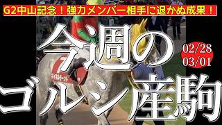 今週のゴールドシップ産駒 (02/28,03/01)【G2中山記念！強力メンバー相手に退かぬ成果！／マイネルモーント,ホウオウユニコーンなど】