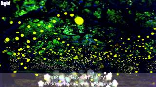 [Vietsub + kara] Firefly - A-teens