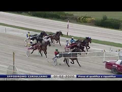Aversa trotto 1 Febbraio 2020 - Prova di qualifica e riqualifica