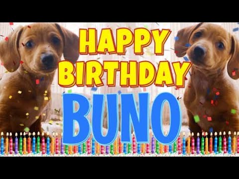Happy Birthday Buno! ( Funny Talking Dogs ) What Is Free On My Birthday