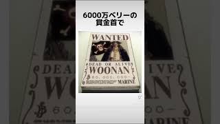 ウーナンの雑学　#ワンピース