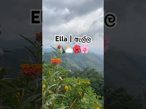 Ella is a whole mood 🍃⛰️#ella #ellasrilanka #srilanka #srilankatravel #mountains #morning #nature