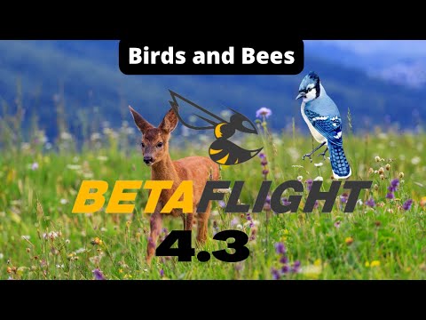 How to Betaflight 4.3 Flash and Test  #howto #betaflight
