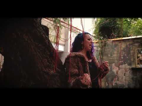 Video de la banda Eivol