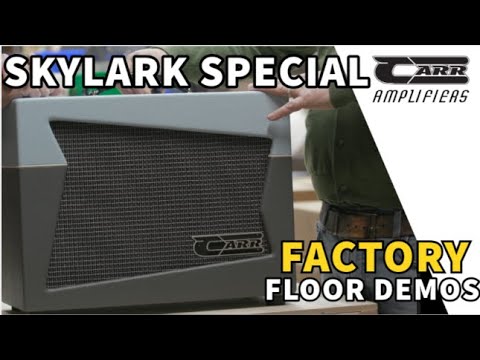 Carr Skylark Special 12w 6V6 Reverb Head 2025 image 8