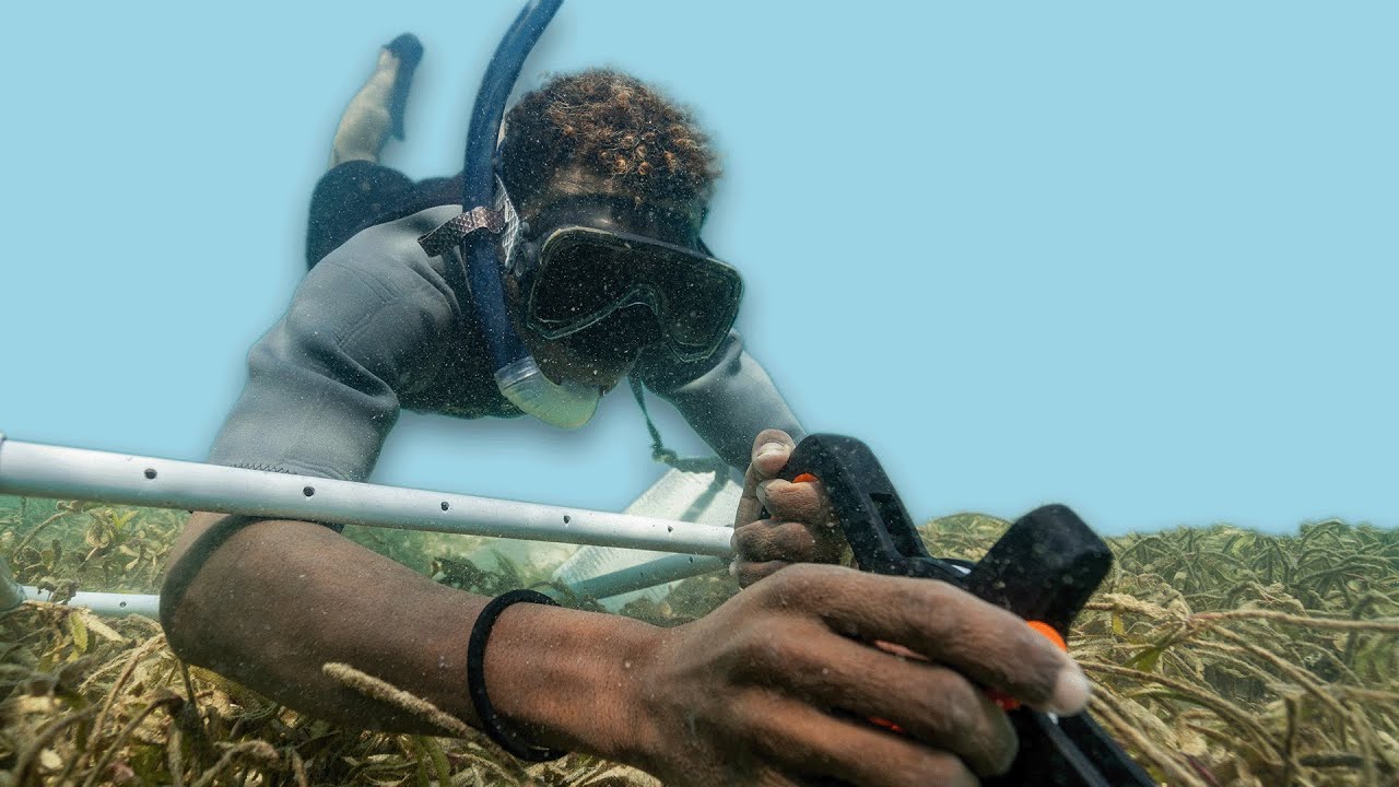 "There are so many fish" -  Community no-take zone success in Madagascar