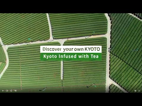 Discover your own KYOTO | Kyoto Infused with Tea | 2min