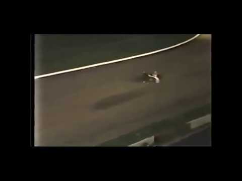 1987 & 1988 Scarborough Downs - SUPER DON  Two Harness Replays