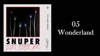 SNUPER Wonderland AUDIO