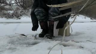Рыбалка по первому льду на малых реках