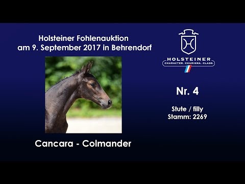 Nr. 4 v. Cancara - Colmander
