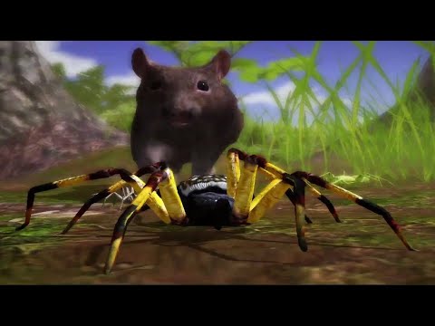 Ultimate Spider Simulator 2 - Finding A Mate - Gameplay #2 - YouTube