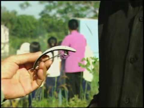 Ru lại vầng trăng - Cẩm Ly