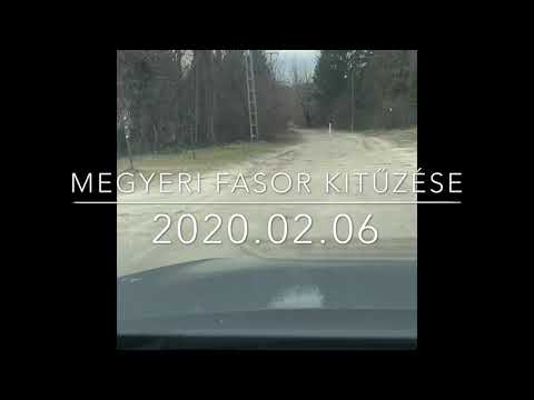 Surány Megyeri fasor - 2020.02.06.