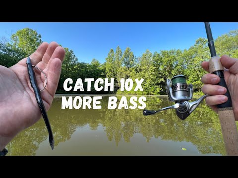 How to Catch 10x More Bass With These Pond Fishing Tips