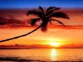Bill Medley-You've lost that lovin'feelin-tradução ...