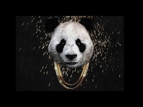 Reckless Dash - Panda Freestyle (Official Music Video)