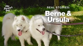 The Farmer's Dog Testimonial: Berne & Ursula