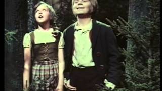 Hänsel und Gretel | 1971 (BRD) | Ganzer Film