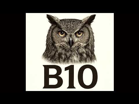 Búho 10 - Ulises Camacho (2025)