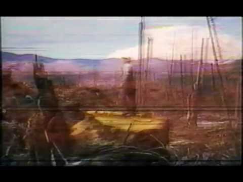 Big Spider's Back - Black Chow